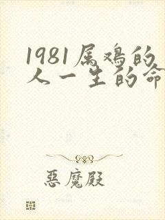 1981属鸡的人一生的命运是怎么样的