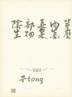 阴部长肉芽状赘生物是怎么回事