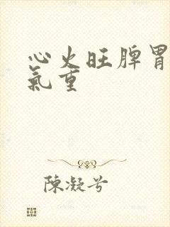 心火旺脾胃虚湿气重