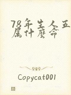 78年生人五行属什么命
