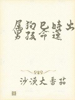 属狗巳时出生的男孩命运