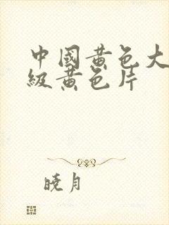 中国黄色大片几级黄色片