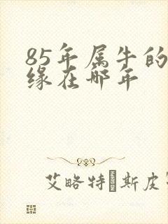 85年属牛的姻缘在哪年