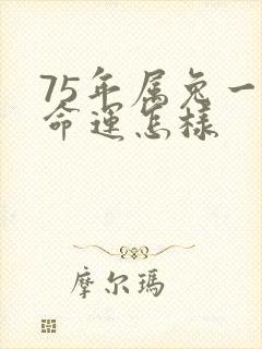 75年属兔一生命运怎样