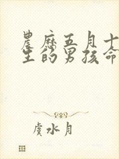 农历五月十五出生的男孩命运如何