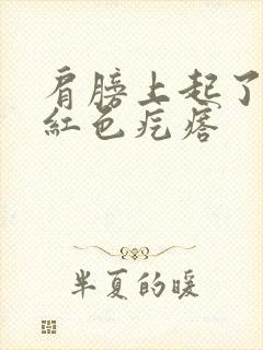 肩膀上起了一片红色疙瘩封面