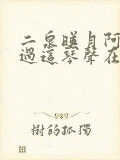 二泉映月阿炳通过这琴声在告诉人们什么