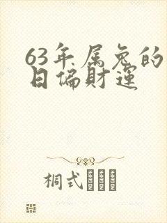 63年属兔的今日偏财运