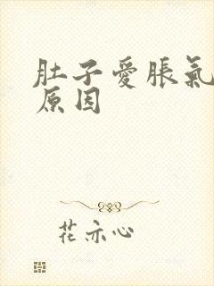 肚子爱胀气什么原因