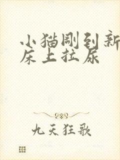 小猫刚到新家在床上拉尿