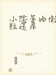 小阴唇内侧有肉粒还痒