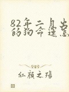 82年二月出生的狗命运怎样