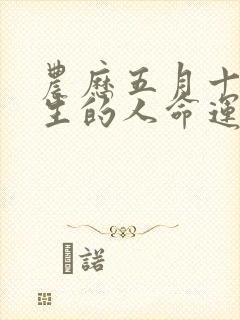 农历五月十七出生的人命运如何封面