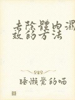 去除体内湿气有效的方法