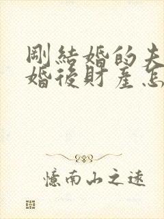 刚结婚的夫妻离婚后财产怎么分配封面