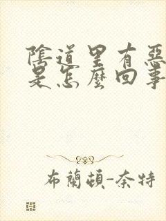 阴道里有恶臭味是怎么回事