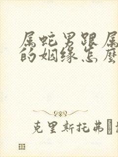 属蛇男跟属羊女的姻缘怎么样封面