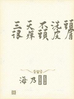 三天不洗头发就很痒头皮屑多