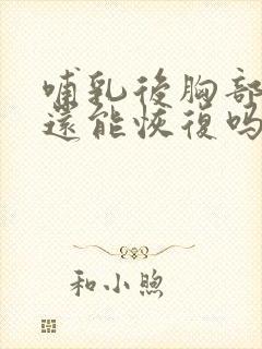 哺乳后胸部变小还能恢复吗