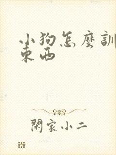 小狗怎么训练捡东西