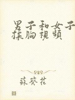 男子和女子亲吻揉胸视频