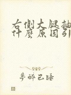 右侧大腿抽筋是什么原因引起的封面