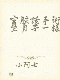 宫腔镜手术后跟坐月子一样吗