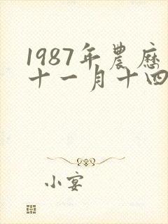 1987年农历十一月十四是啥命封面