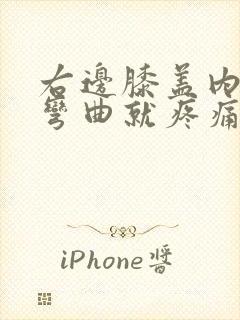 右边膝盖内侧一弯曲就疼痛封面