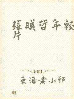 张映哲年轻时照片封面