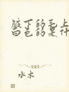 腋下的毛上粘着白色的是什么