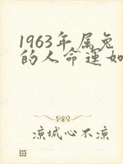1963年属兔的人命运如何呢