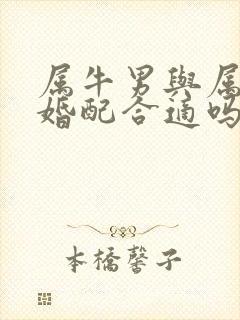 属牛男与属牛女婚配合适吗封面