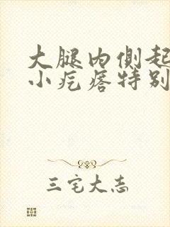 大腿内侧起一片小疙瘩特别痒封面