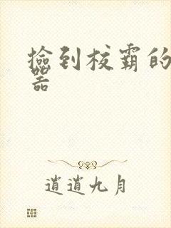 捡到校霸的遥控器