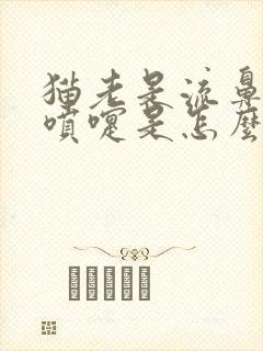 猫老是流鼻涕打喷嚏是怎么回事