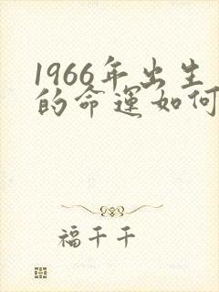1966年出生的命运如何