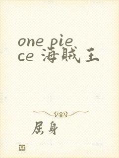 one piece 海贼王