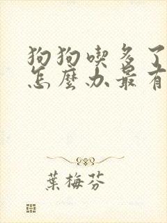 狗狗吃多了拉稀怎么办最有效的方法