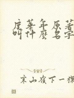 度华年原著小说叫什么名字