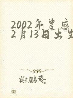 2002年农历2月13日出生的男孩命运