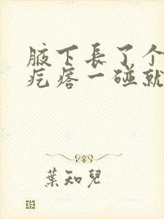 腋下长了个小红疙瘩一碰就疼