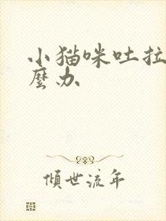 小猫咪吐拉稀怎么办