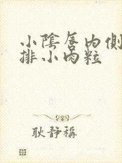 小阴唇内侧长一排小肉粒