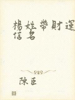 杨姓带财运的微信名