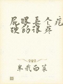 屁眼长个疙瘩硬硬的很疼