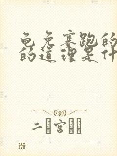 龟免赛跑的故事的道理是什么