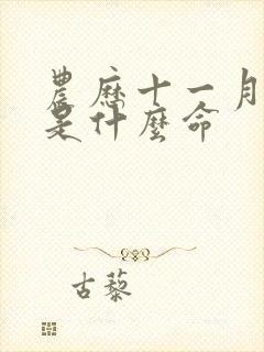 农历十一月初五是什么命封面