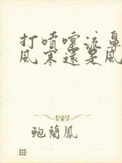 打喷嚏流鼻涕是风寒还是风热感冒封面