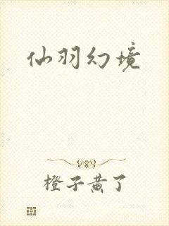 仙羽幻境封面